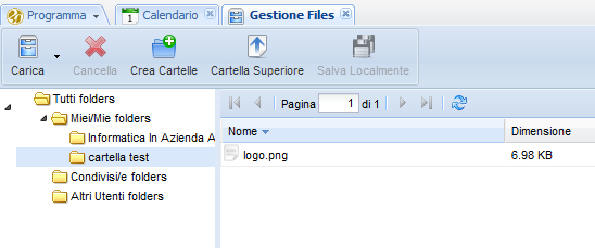gestione files