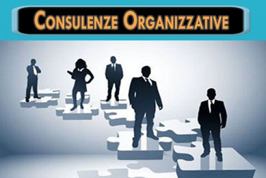 consulenze organizzative